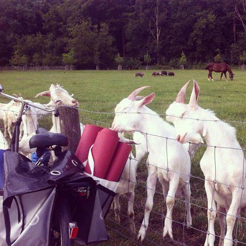 Op de boerderie :)